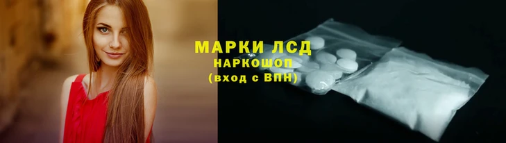 гидропоника Алексеевка